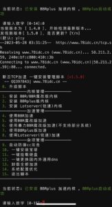 BBR原版/魔改/plus/锐速多合一脚本-十方资源站